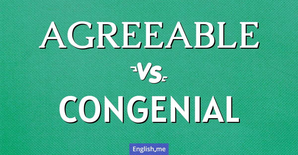 "Agreeable" (angenehm) gegen "Congenial" (sympathisch)