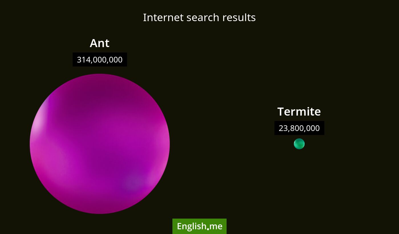 Internet search results for ant) and termite