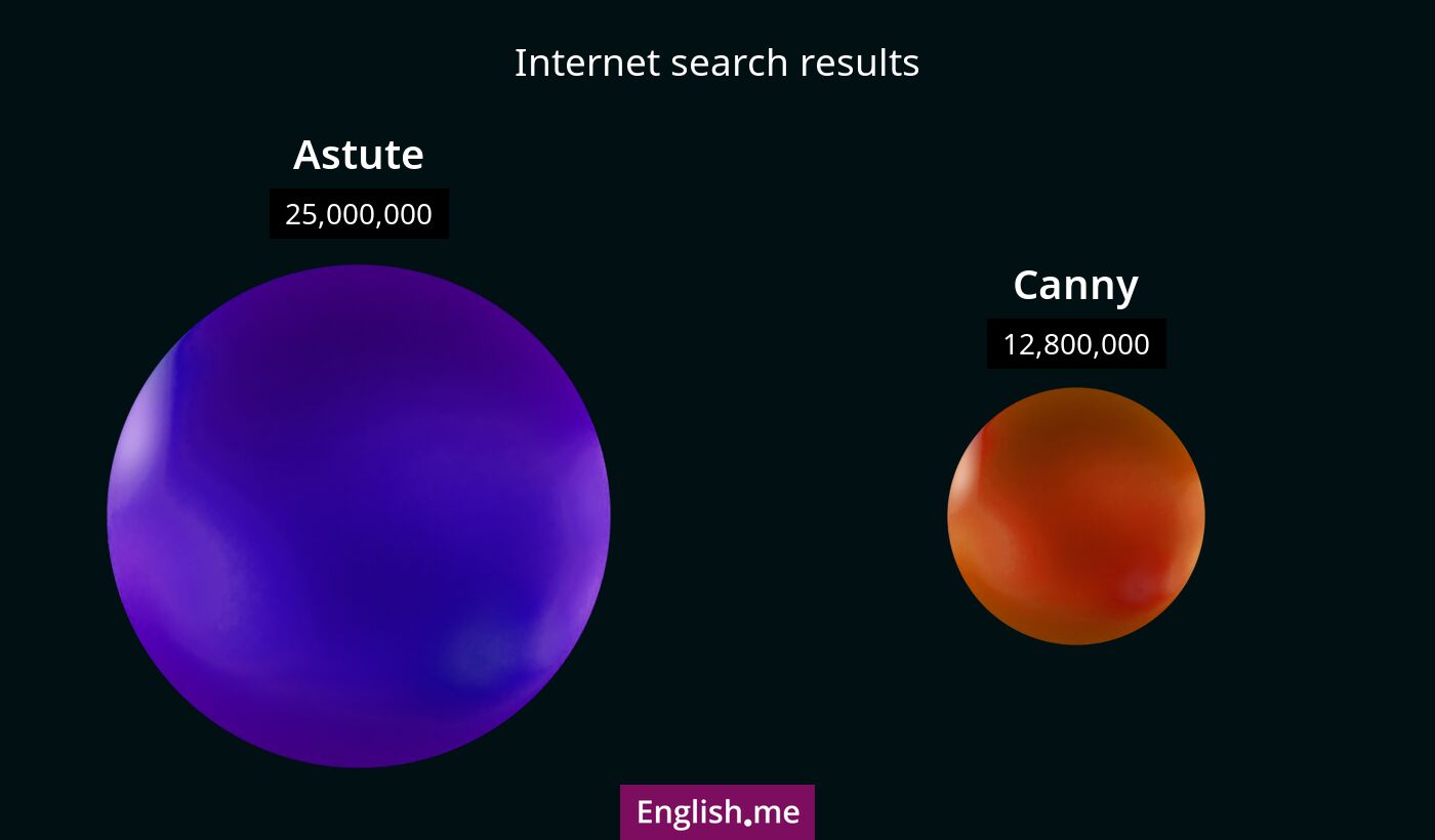 Internet search results for astute) and canny