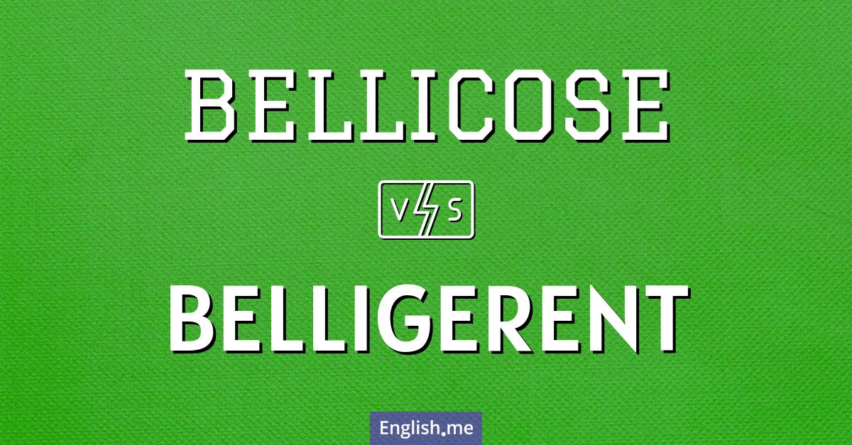 "Bellicose" (kriegerisch) gegen "Belligerent" (streitsüchtig)