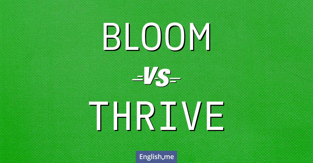 "Bloom" (blühen) gegen "Thrive" (gedeihen)