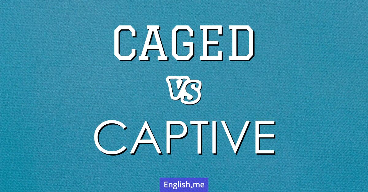 "Caged" (eingesperrt) gegen "Captive" (gefangen)