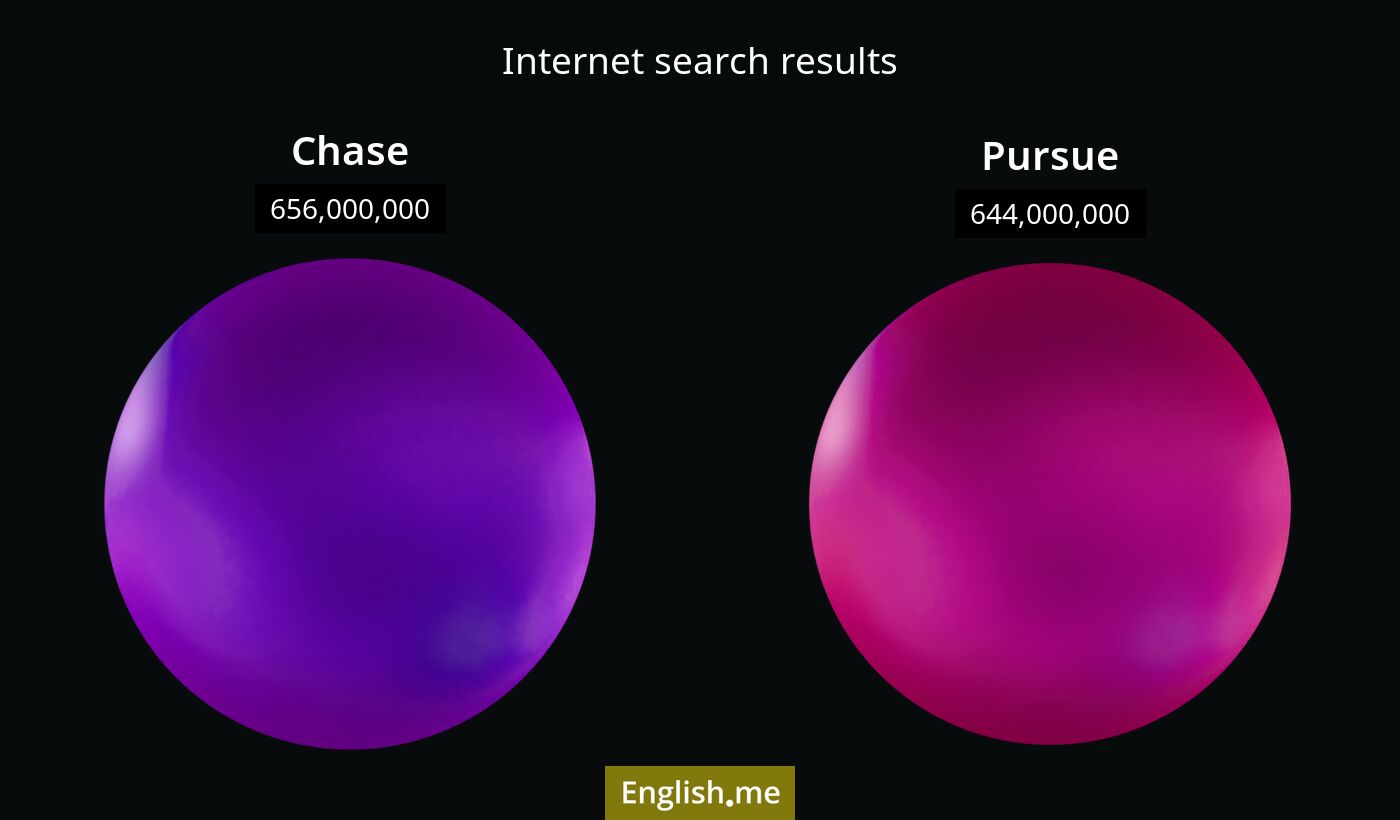 Internet search results for chase) and pursue