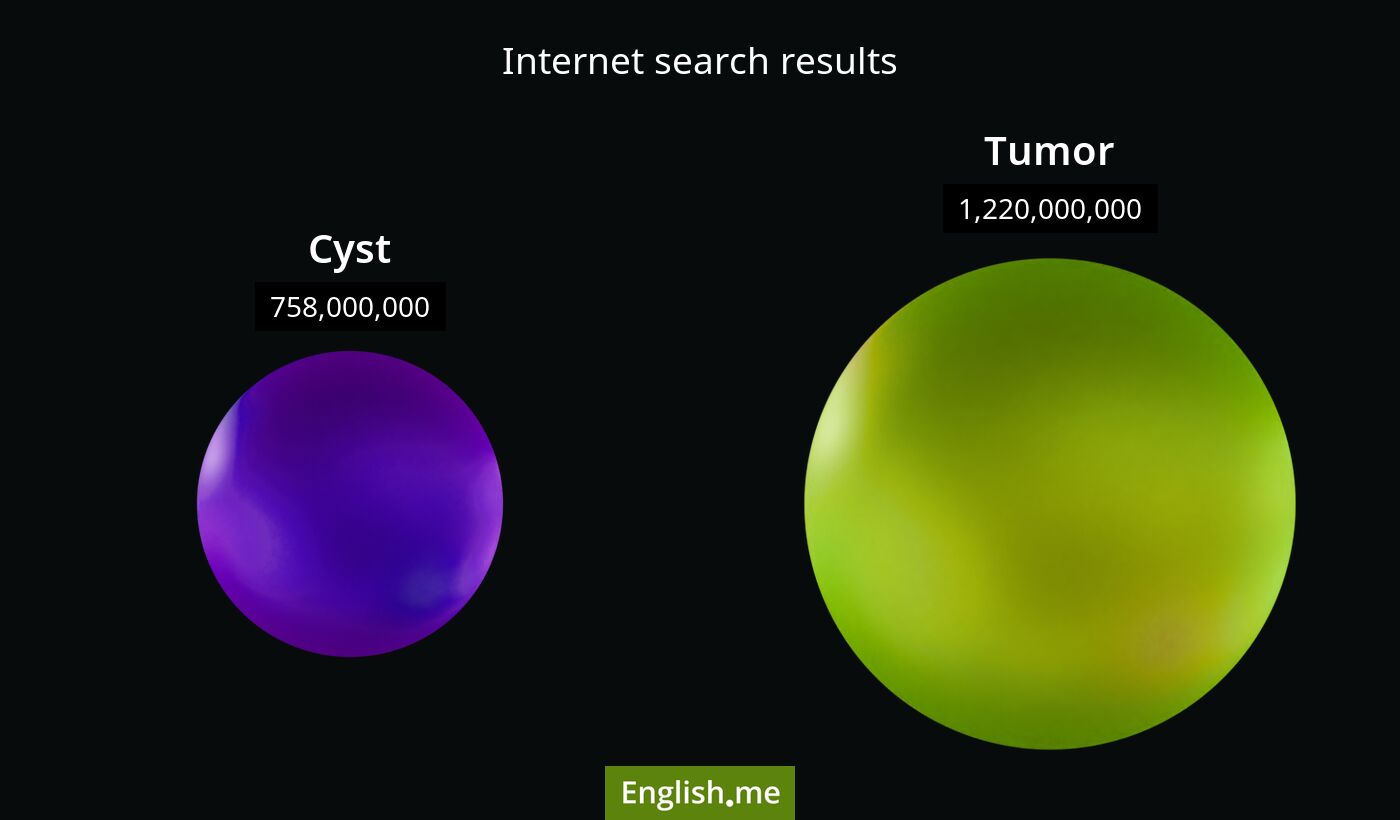 Internet search results for cyst) and tumor