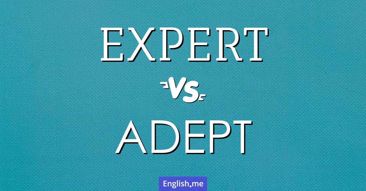 "Expert" (Experte) gegen "Adept" (Geschickter)