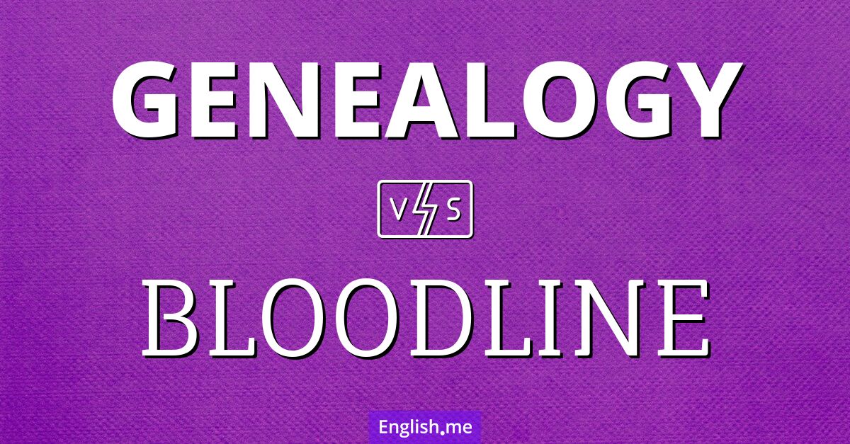 "Genealogy" (Genealogie) gegen "Bloodline" (Blutlinie)
