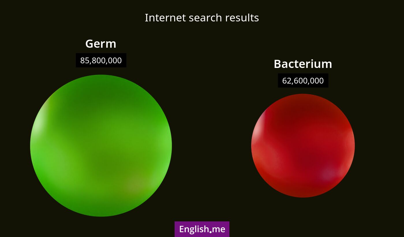 Internet search results for germ) and bacterium