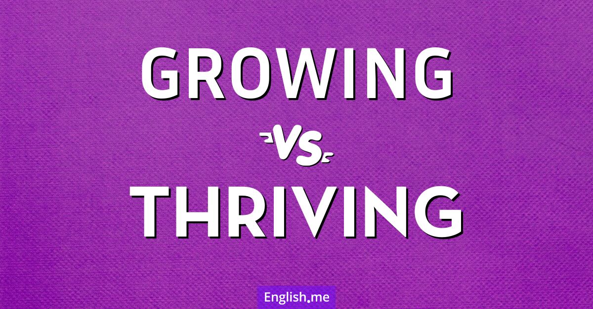 "Growing" (wachsen) gegen "Thriving" (gedeihen)