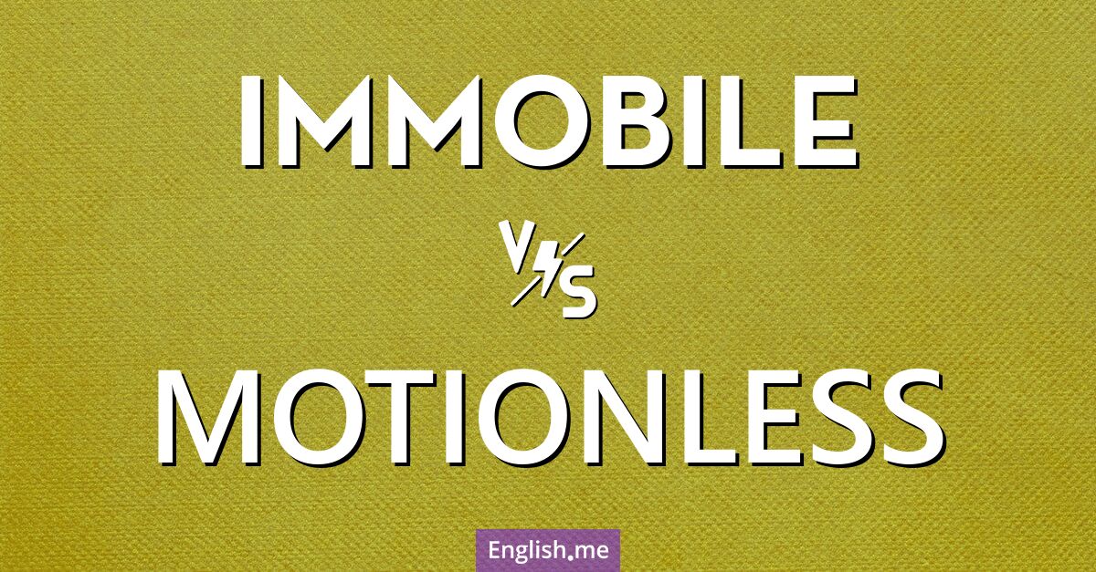 "Immobile" (unbeweglich) gegen "Motionless" (bewegungslos)