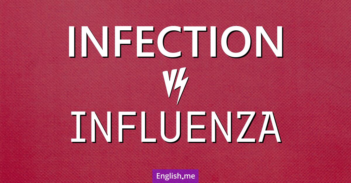 "Infection" (Infektion) gegen "Influenza" (Influenza)