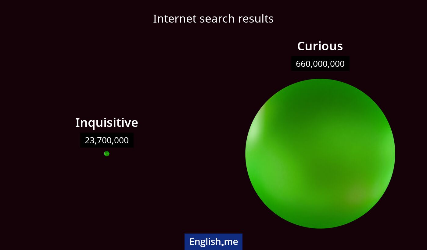 Internet search results for inquisitive) and curious