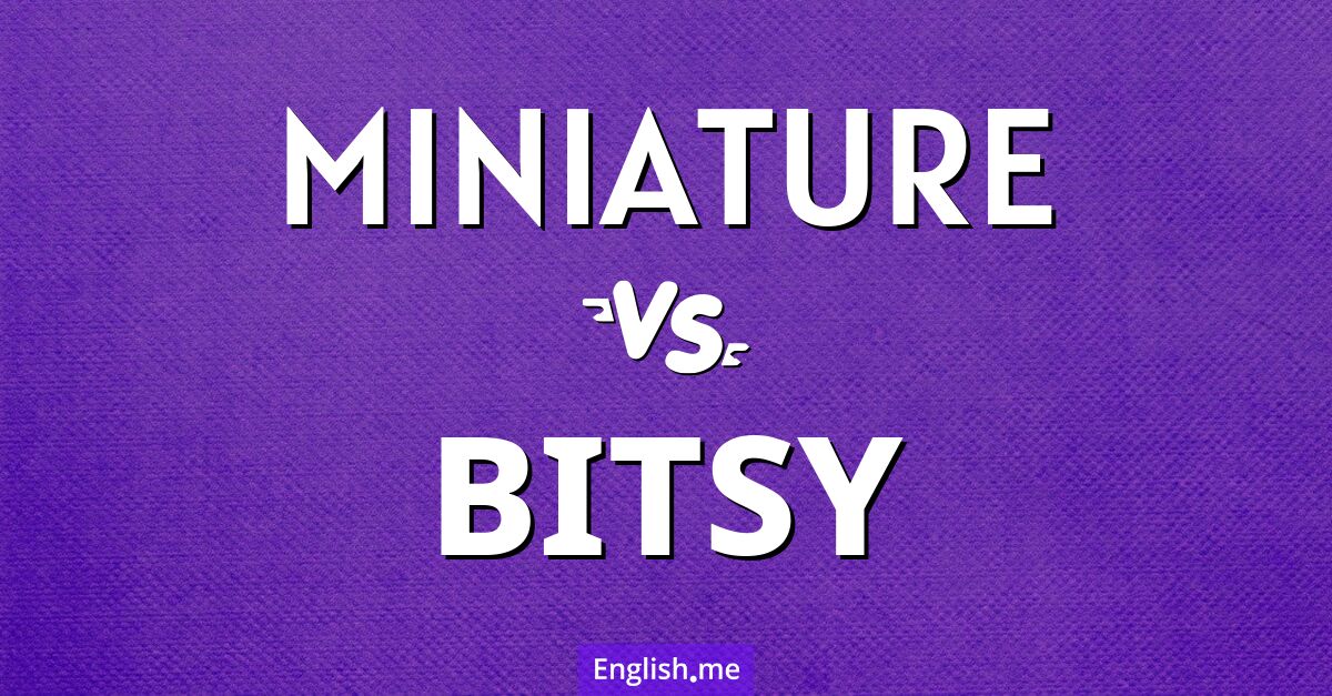 "Miniature" (Miniatur) gegen "Bitsy" (winzig) "Miniature" (Miniatur) gegen "Bitsy" (winzig)