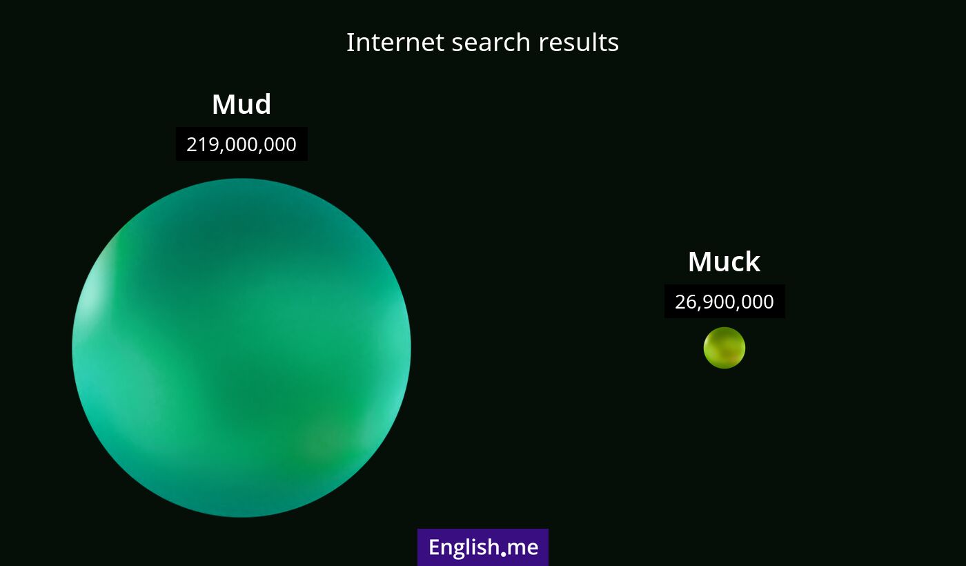 Internet search results for mud) and muck