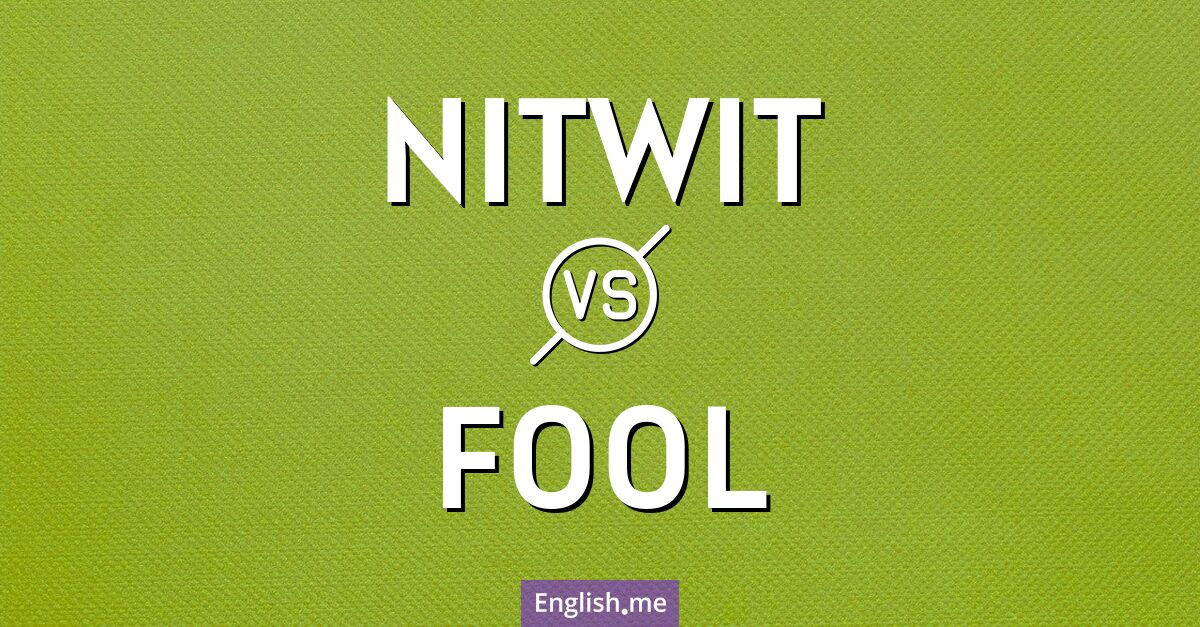 "Nitwit" (Trottel) gegen "Fool" (Narr)