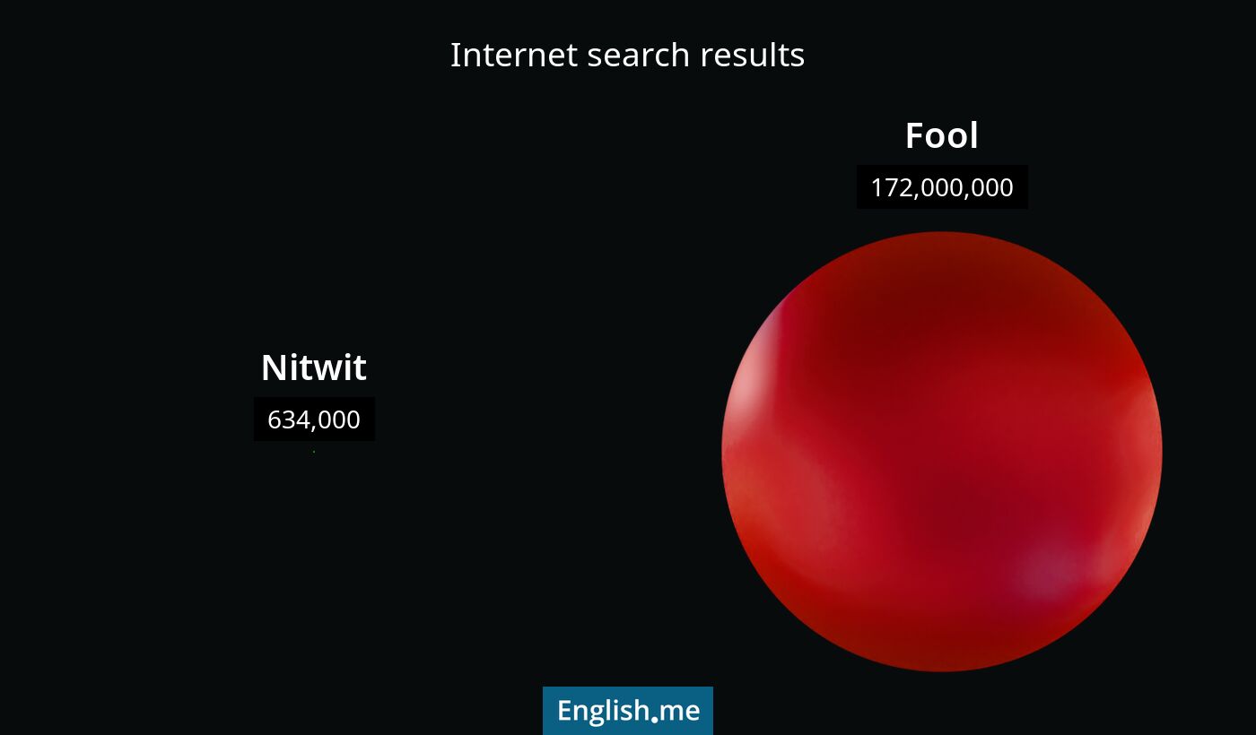 Internet search results for nitwit) and fool