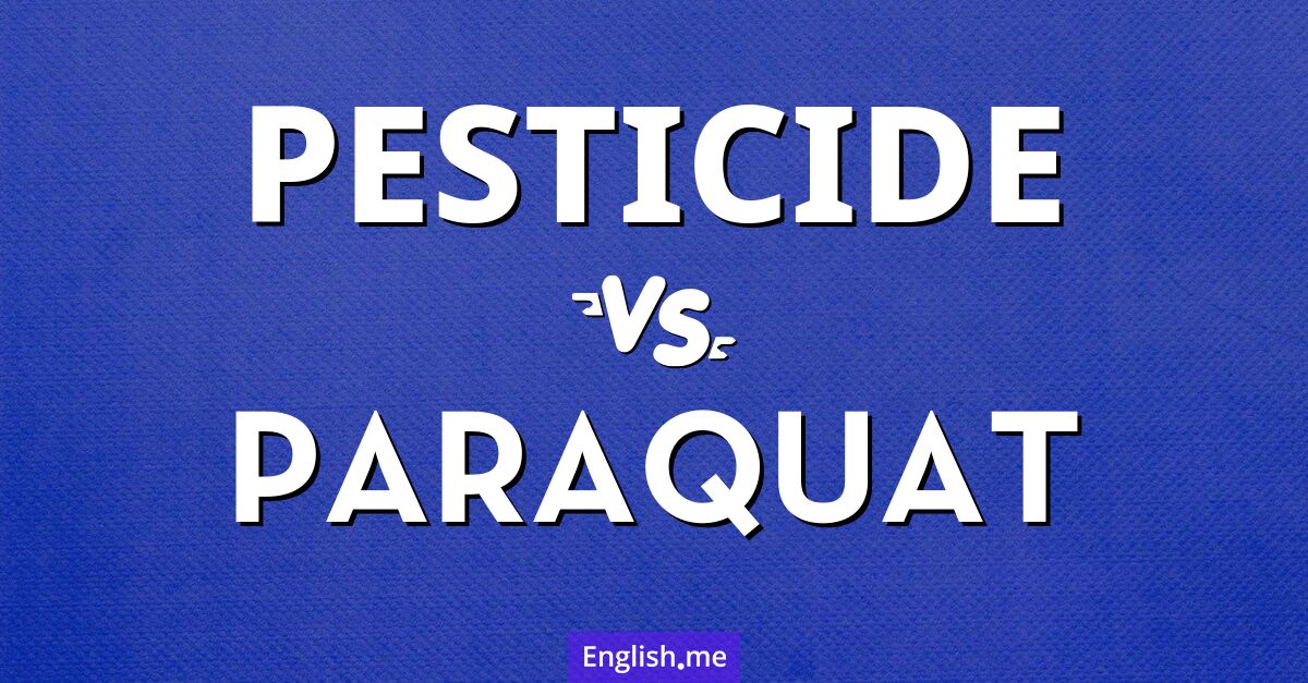 "Pesticide" (Pestizid) gegen "Paraquat" (Paraquat)