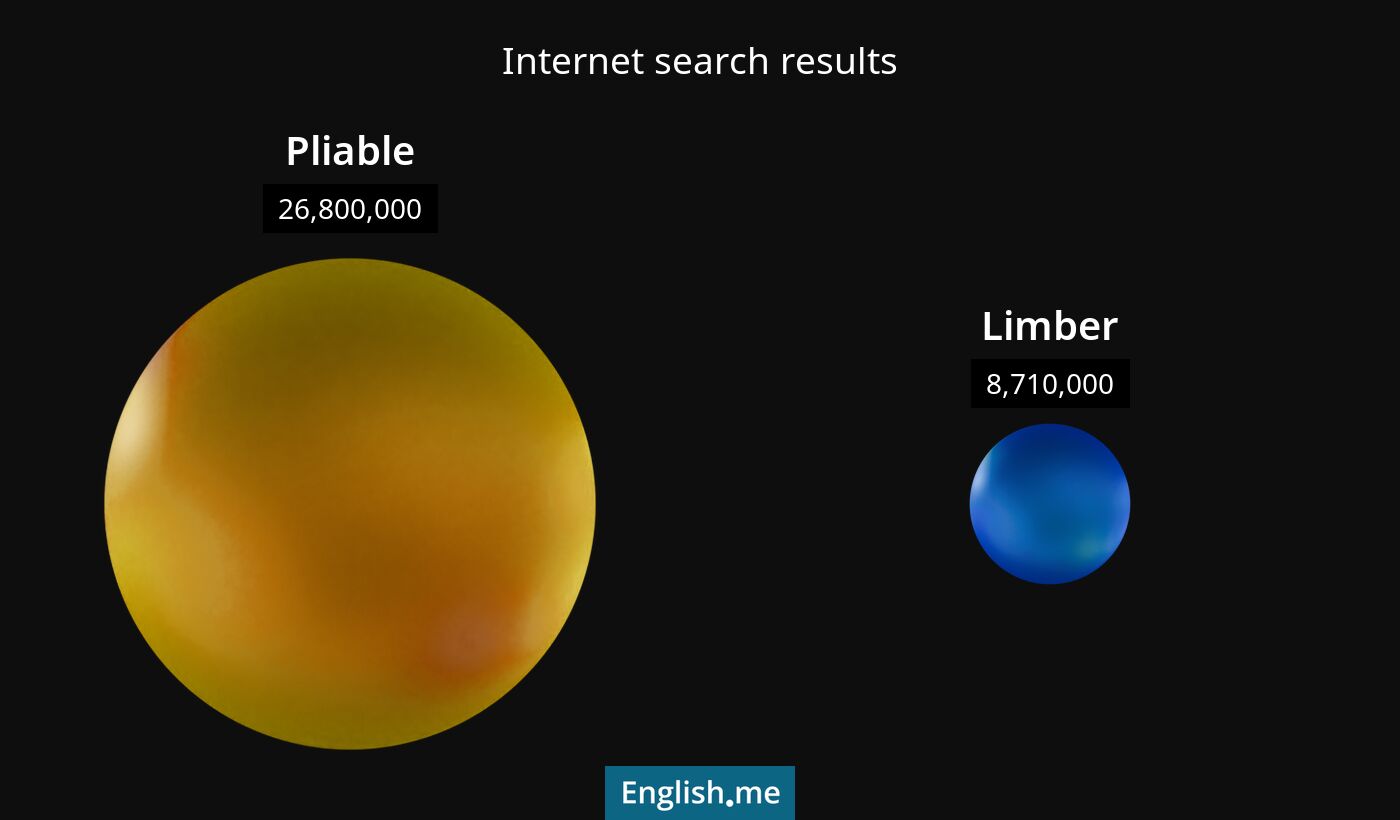 Internet search results for pliable) and limber