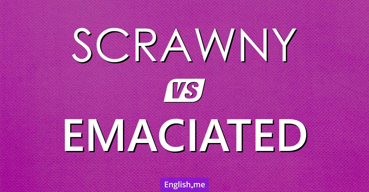 "Scrawny" (dürr, schmächtig) gegen "Emaciated" (abgemagert, ausgezehrt)