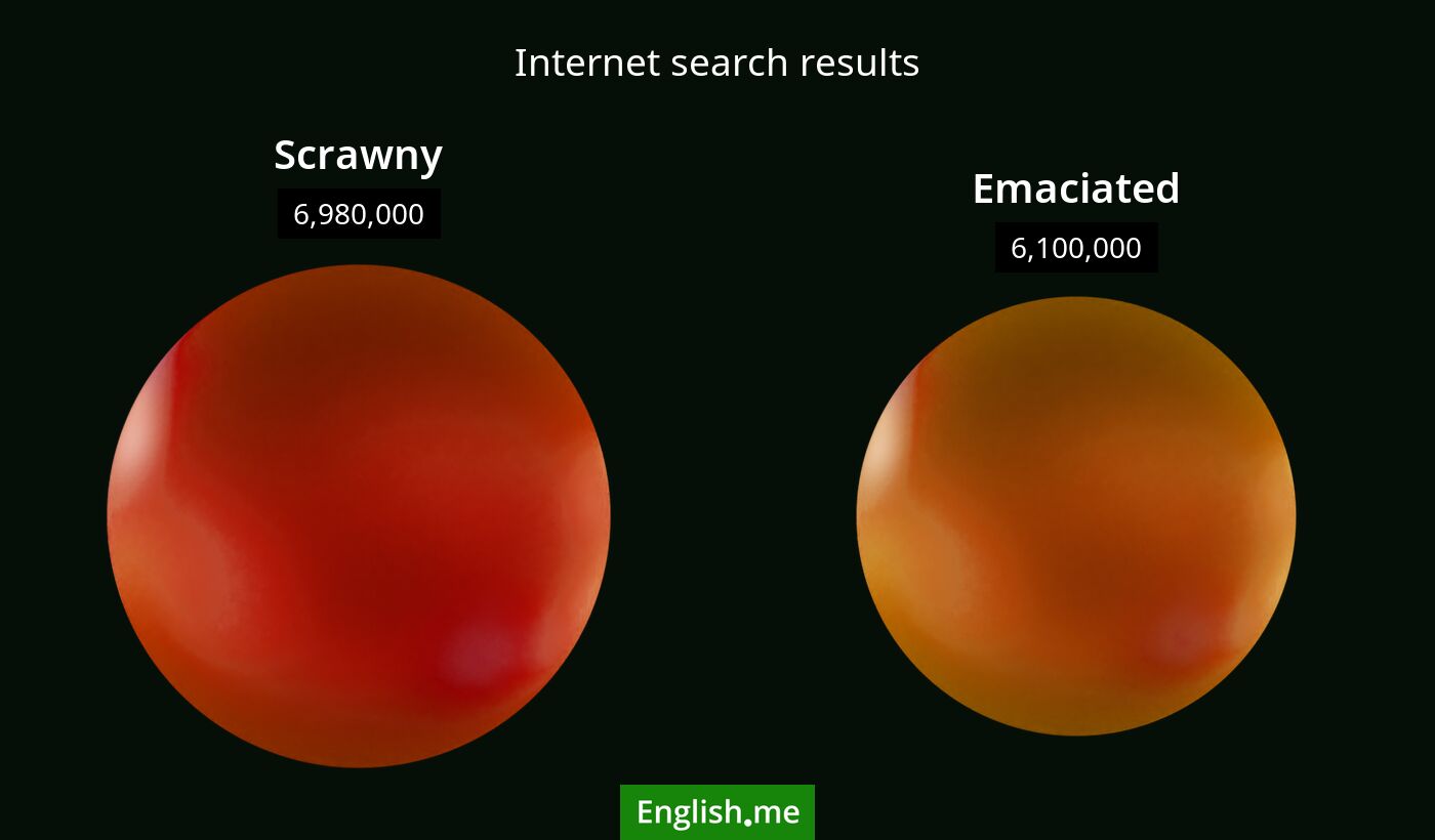Internet search results for scrawny) and emaciated