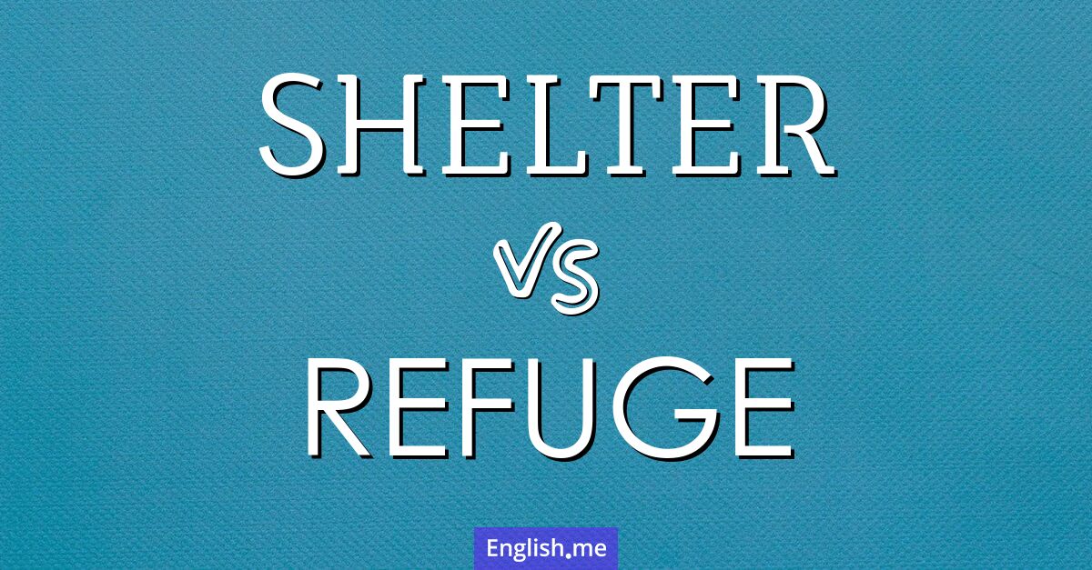 "Shelter" (Unterkunft, Schutz) gegen "Refuge" (Zuflucht)