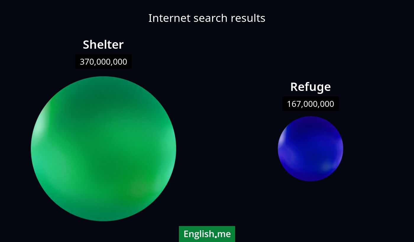 Internet search results for shelter) and refuge