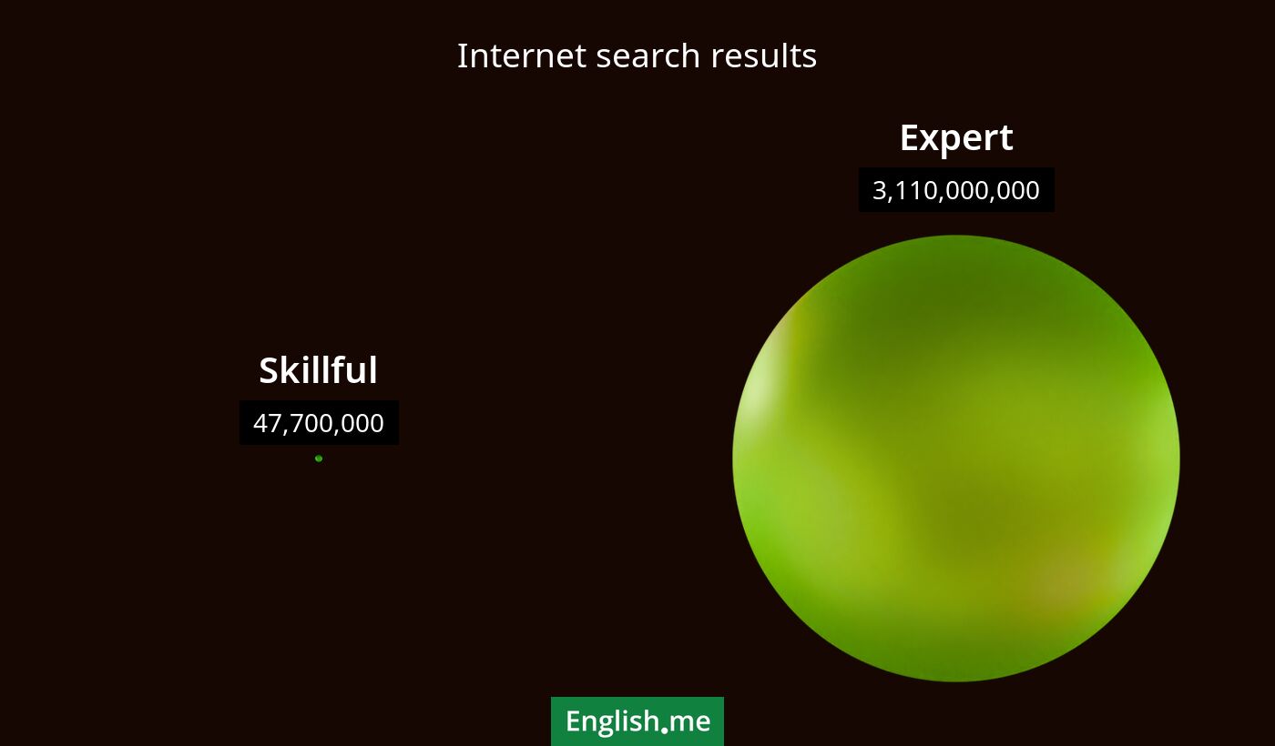 Internet search results for skillful) and expert