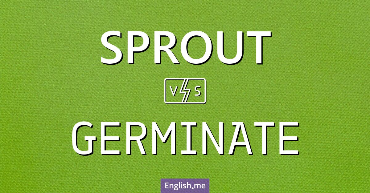 "Sprout" (sprießen) gegen "Germinate" (keimen)