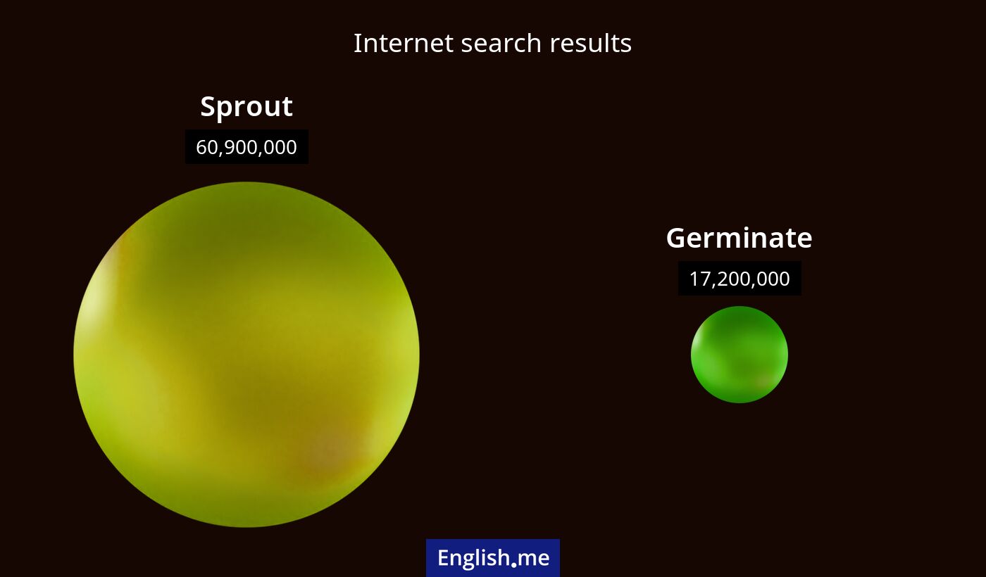 Internet search results for sprout) and germinate