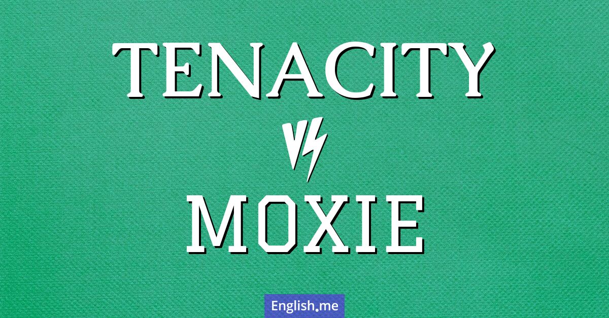 "Tenacity" (Hartnäckigkeit) gegen "Moxie" (Mut)