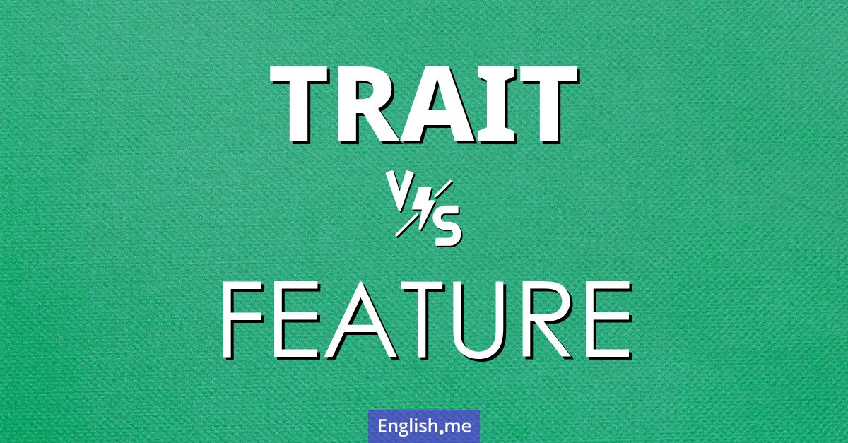 "Trait" (Merkmal) gegen "Feature" (Eigenschaft)