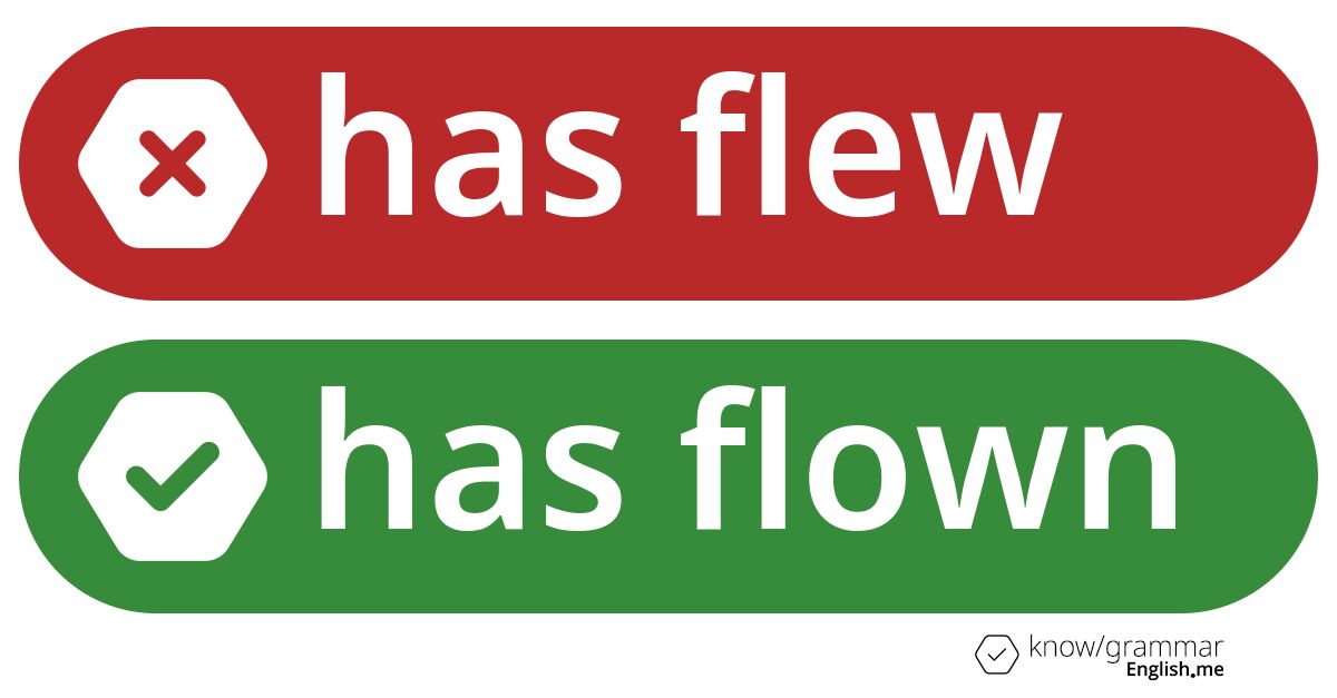 Warum ist "has flew" im Englischen falsch?