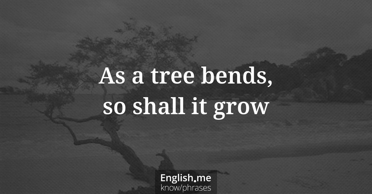 Erklärung “As a tree bends, so shall it grow” Erklärung “As a tree bends, so shall it grow”
