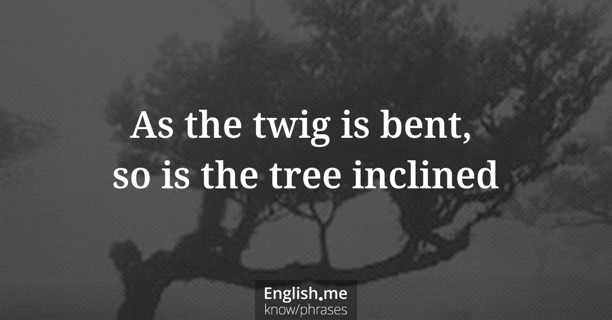Erklärung “As the twig is bent, so is the tree inclined” Erklärung “As the twig is bent, so is the tree inclined”