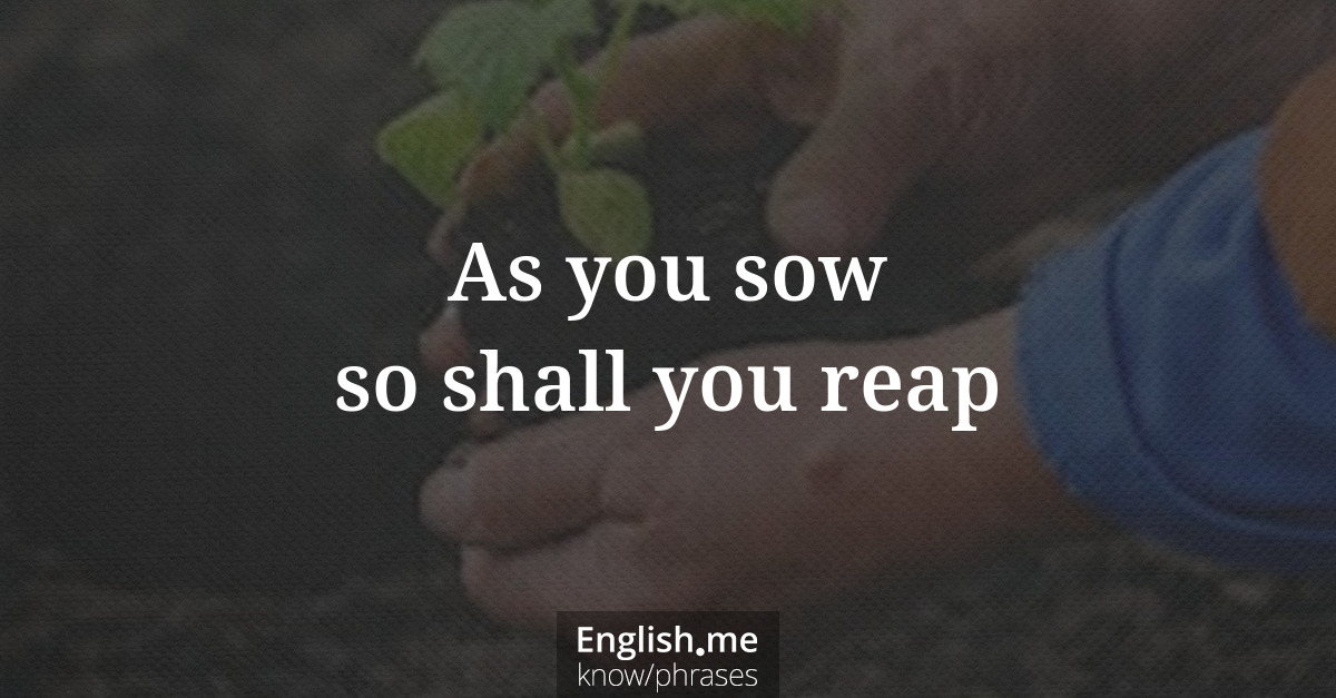 Erklärung &#8220;As you sow so shall you reap&#8221;