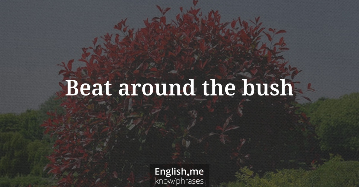 Erklärung &#8220;Beat around the bush&#8221;