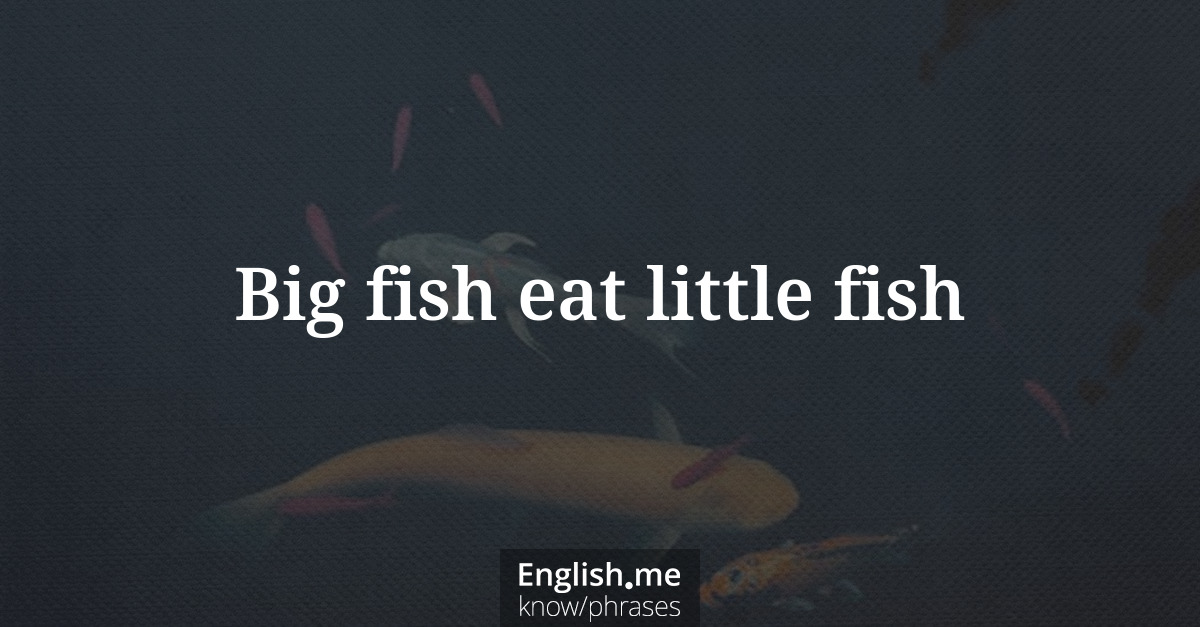 Erklärung &#8220;Big fish eat little fish&#8221;