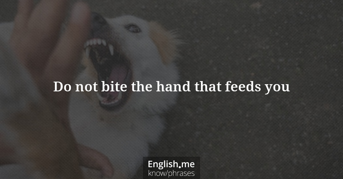 Erklärung &#8220;Do not bite the hand that feeds you&#8221;