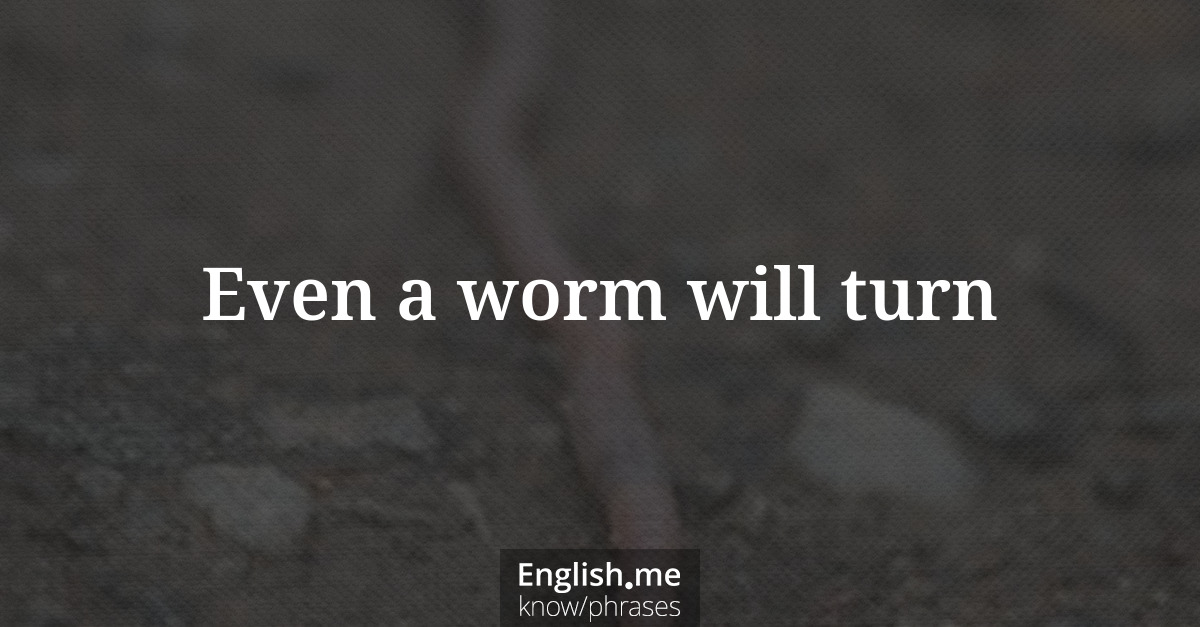 Erklärung &#8220;Even a worm will turn&#8221;
