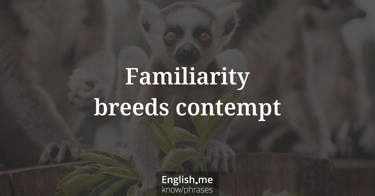 Erklärung &#8220;Familiarity breeds contempt&#8221;