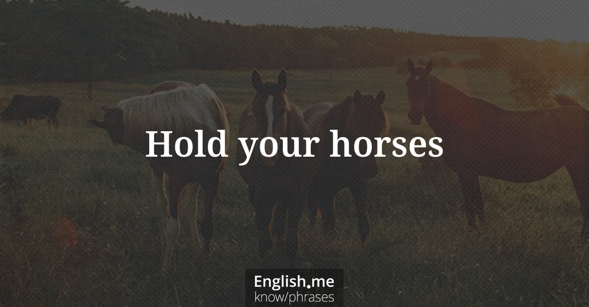Erklärung &#8220;Hold your horses&#8221;