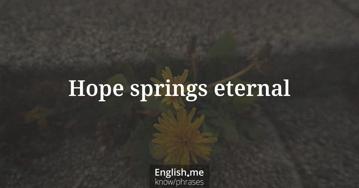 Erklärung &#8220;Hope springs eternal&#8221;