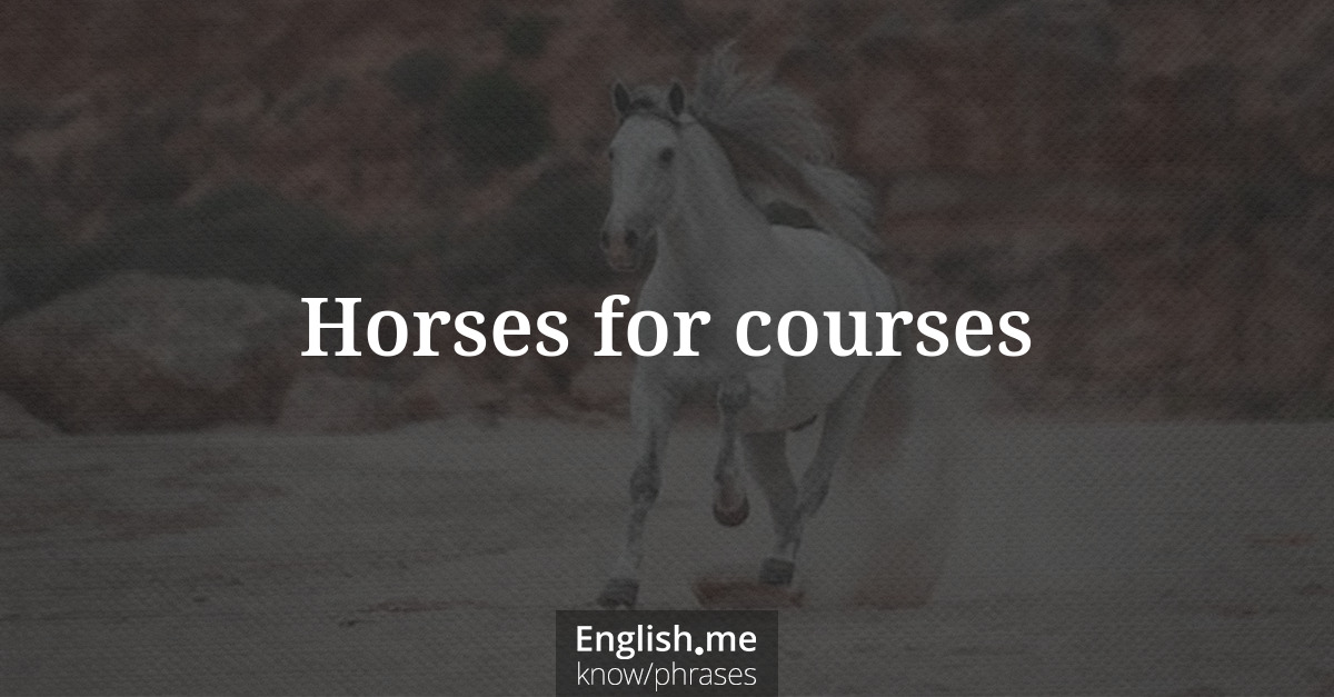 Erklärung &#8220;Horses for courses&#8221;
