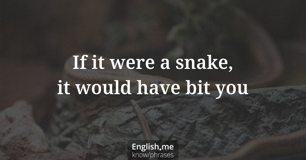 Erklärung “If it were a snake, it would have bit you” Erklärung “If it were a snake, it would have bit you”