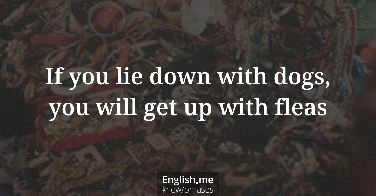 Erklärung &#8220;If you lie down with dogs, you will get up with fleas&#8221;