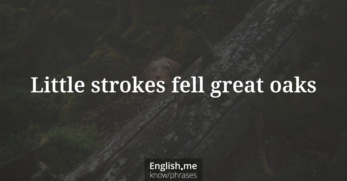 Erklärung &#8220;Little strokes fell great oaks&#8221;
