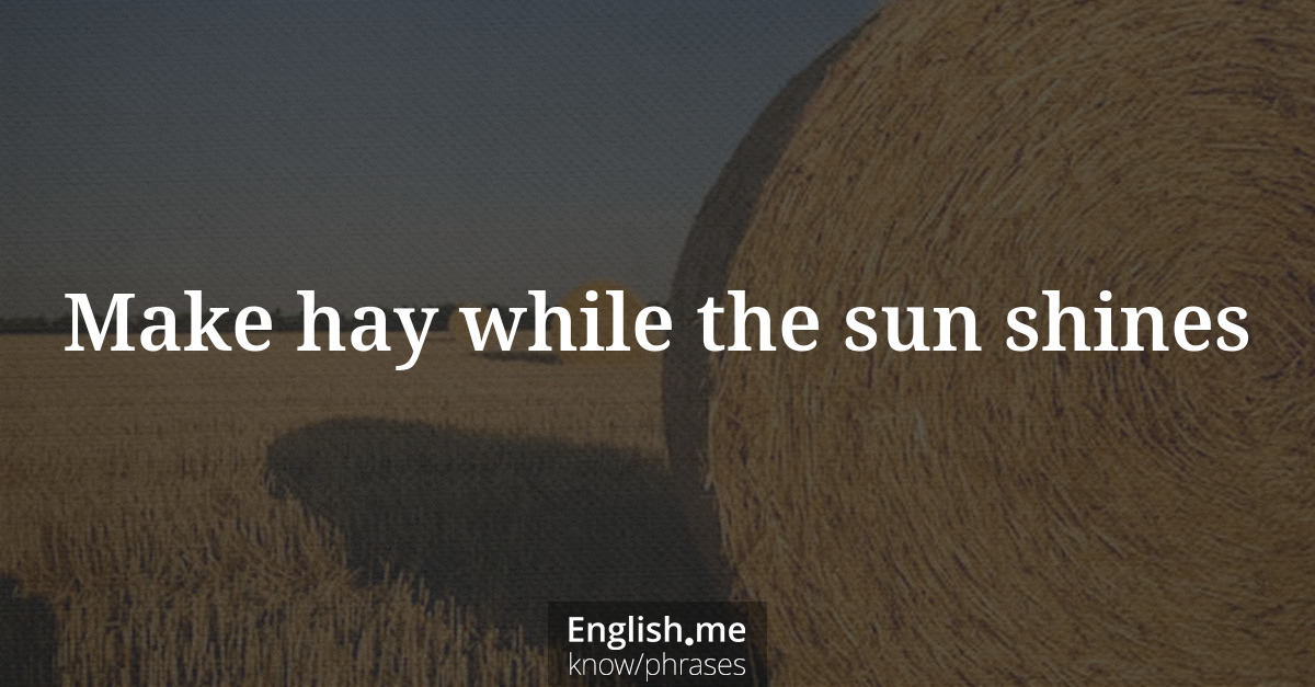 Erklärung &#8220;Make hay while the sun shines&#8221;