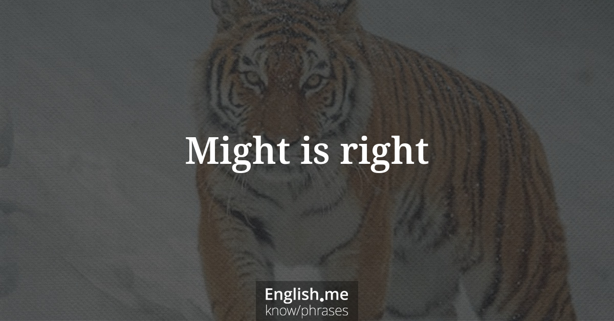 Erklärung “Might is right” Erklärung “Might is right”