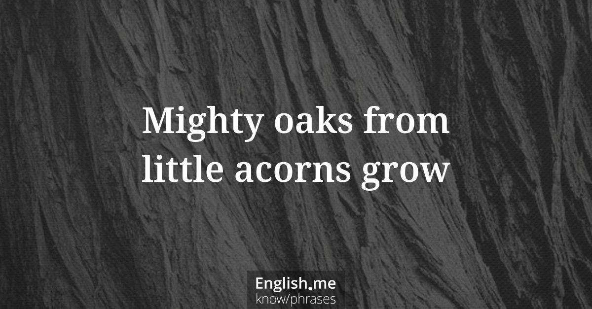 Erklärung &#8220;Mighty oaks from little acorns grow&#8221;