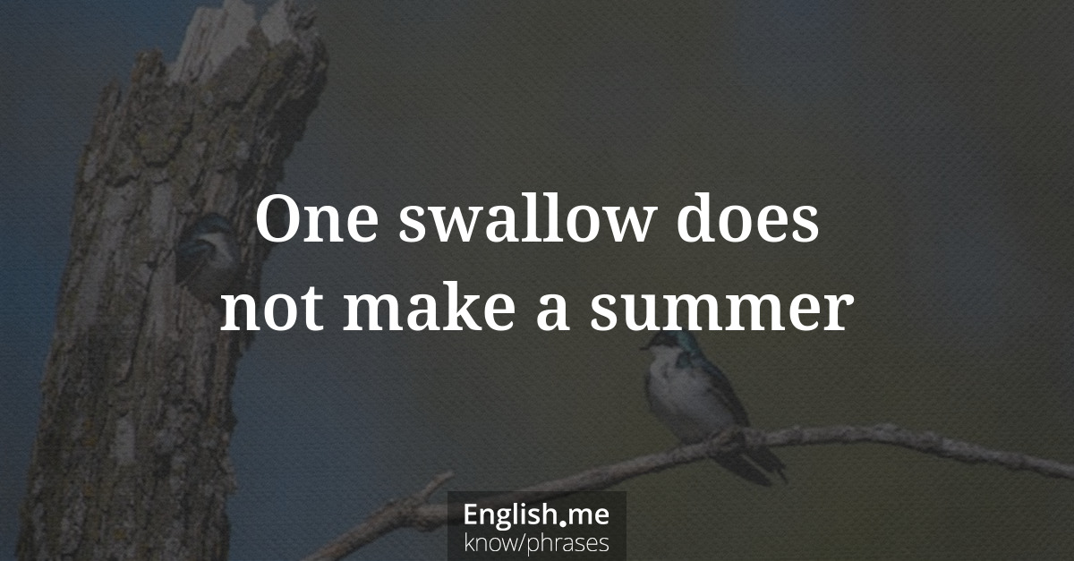 Erklärung &#8220;One swallow does not make a summer&#8221;