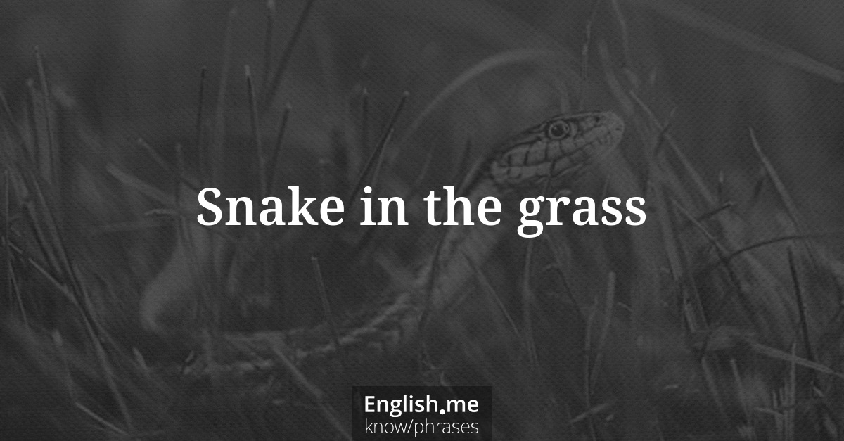 Erklärung &#8220;Snake in the grass&#8221;